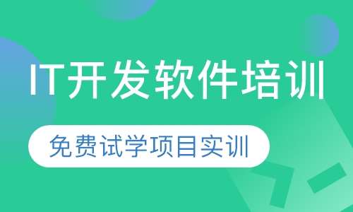 IT开发软件培训