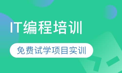 IT编程培训