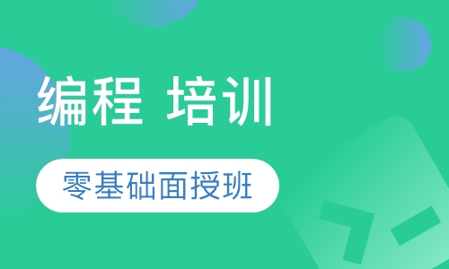 编程 培训