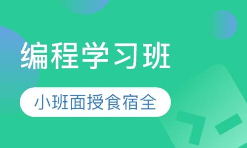 编程学习班