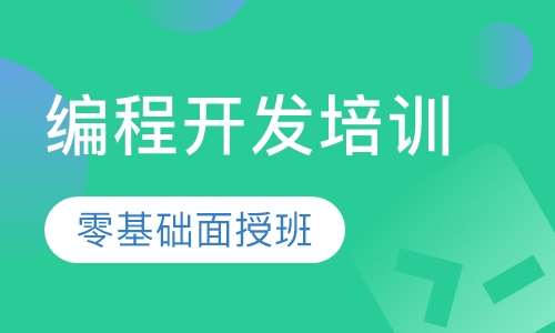 编程开发培训