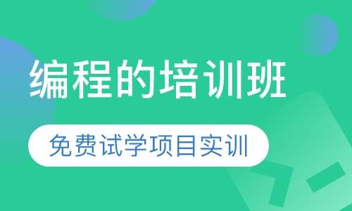 编程的培训班